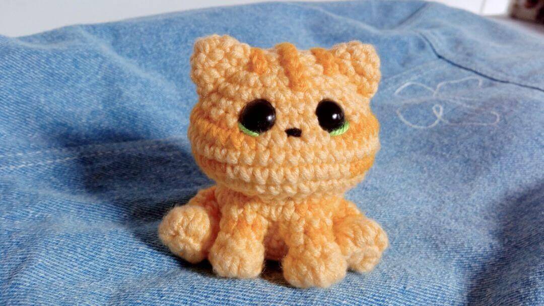 Gatito rayito de sol