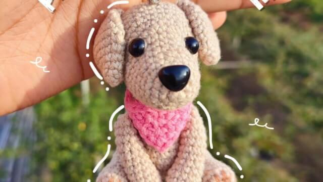 Perro labrador