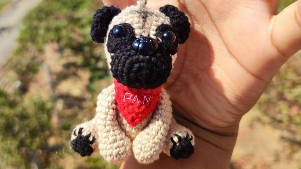 Perro pug