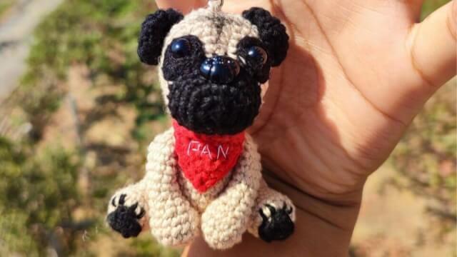 Perro pug