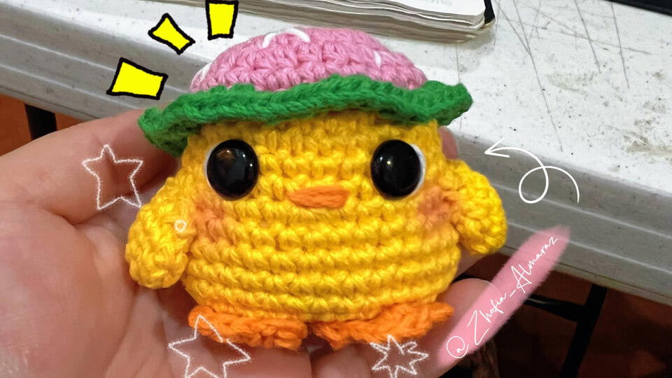 Pollito con gorro