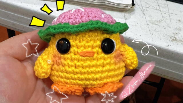 Pollito con gorro