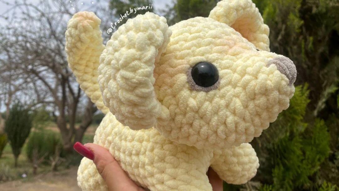 LEONCITO 💛
