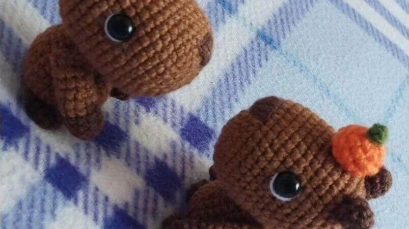 Capybara Esp