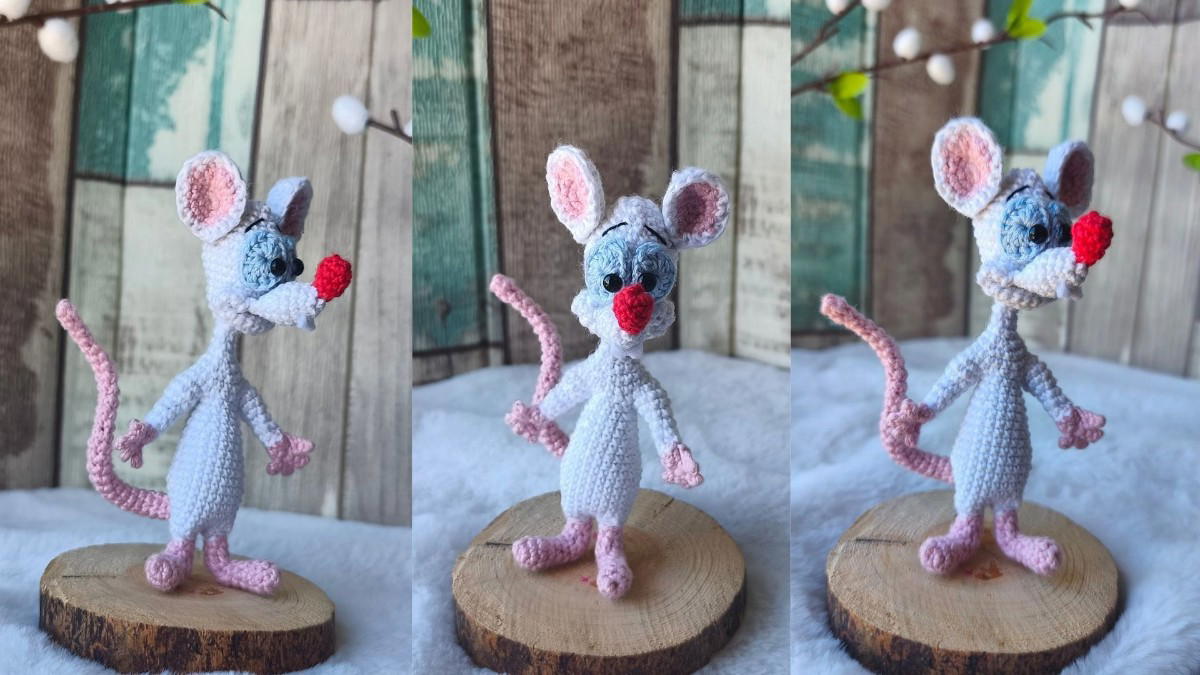 Pinky, Pinky y cerebro