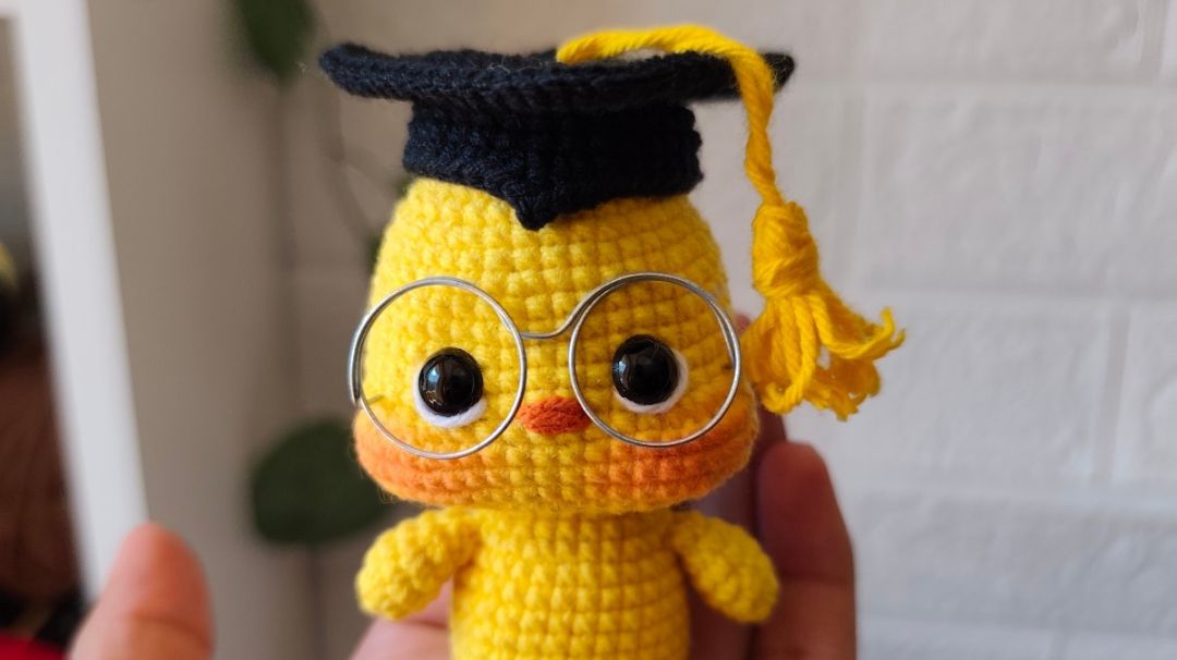 Pollito graduado 
