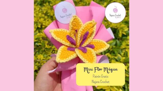 Mini Flor Mágica
