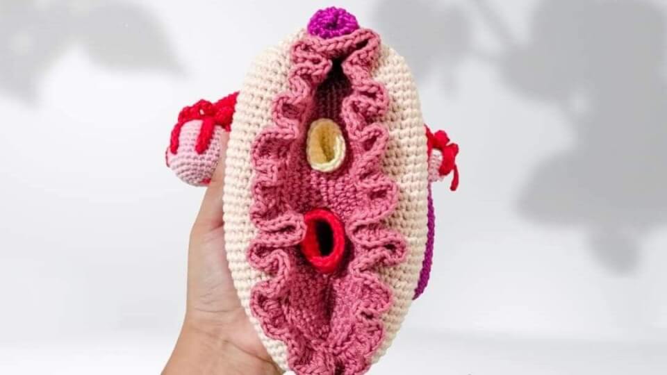 Aparato Genital Femenino