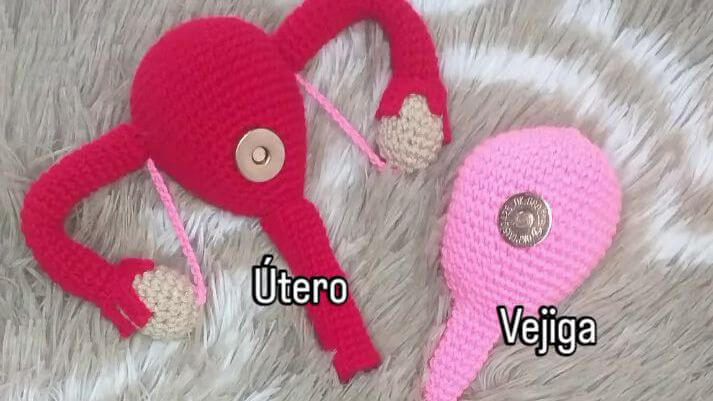 APARATO REPRODUCTOR FEMENINO