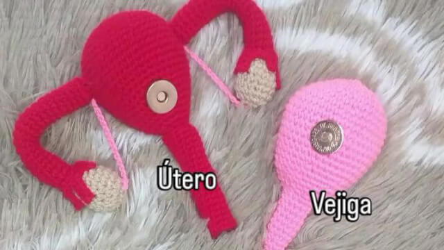 APARATO REPRODUCTOR FEMENINO 