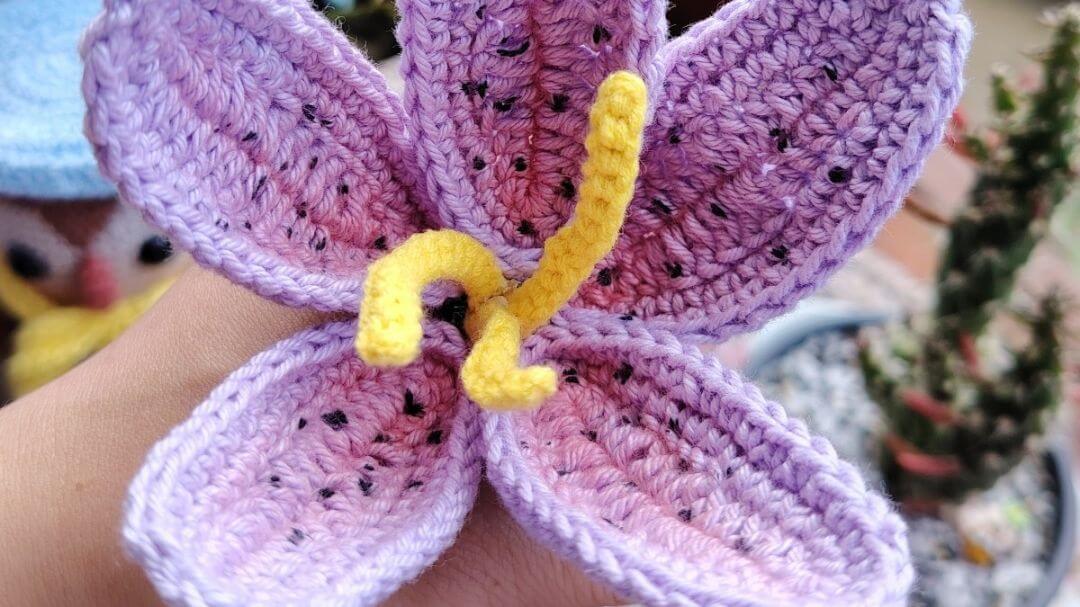 Lilium mini