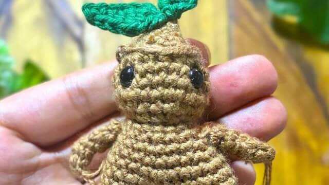Mandragora
