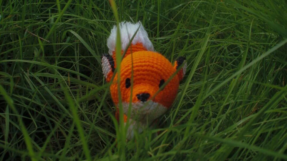 Zorrito