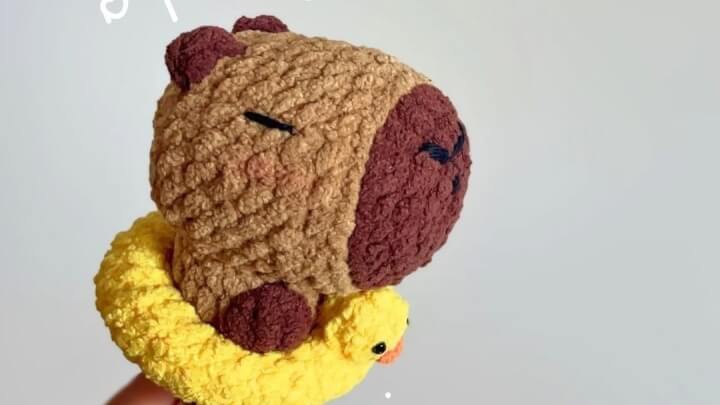 Capibara con flotador depatito