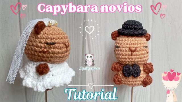 Capybara novios 🤎👰‍♂️🤵