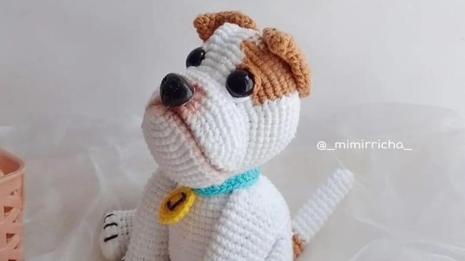 Tierno perrito jay