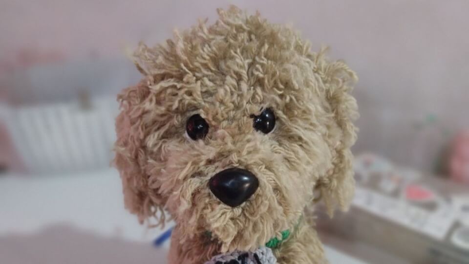 Perro caniche realista