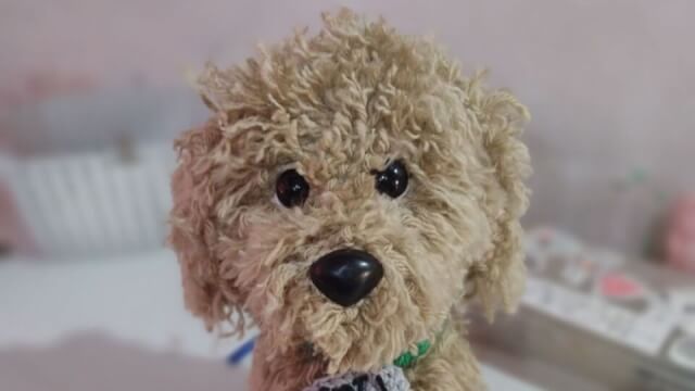 Perro caniche realista