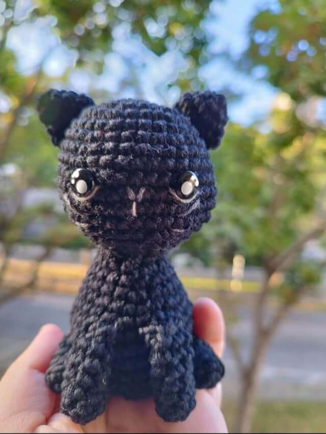 Fito, el mini gato
