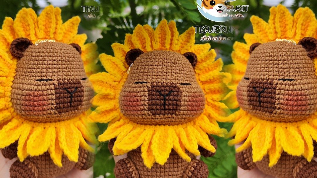 Capisol 🌻