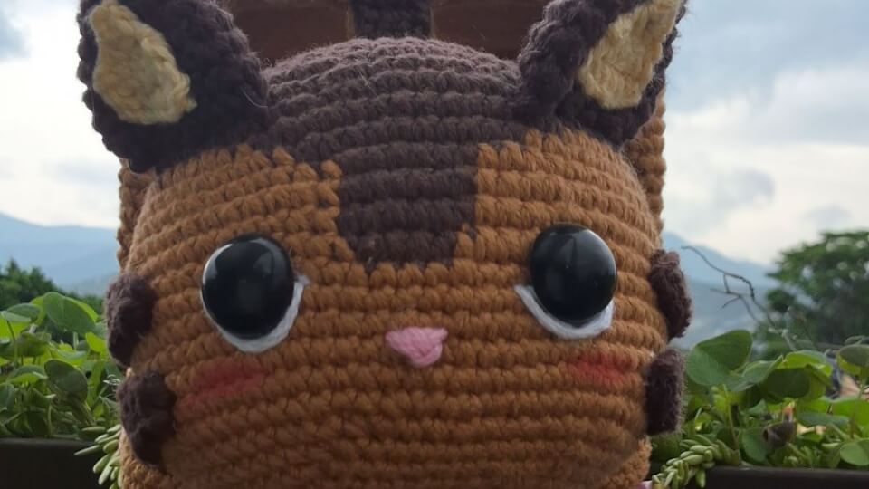 Gato bus